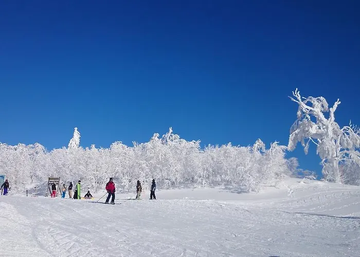 Hoshino Resorts Asahikawa Grand Hotel