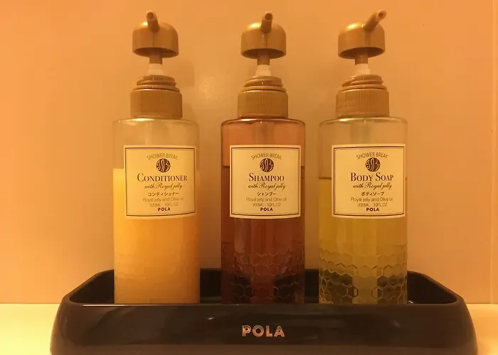 Chitose Daiichi Hotel