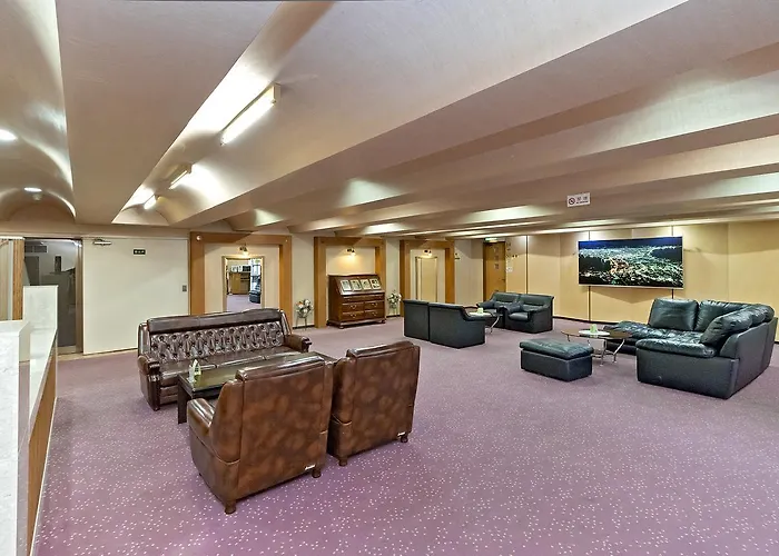 Pet friendly Hotel New Ohte Hakodate